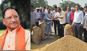  समर्थन मूल्य पर धान खरीदी प्रारंभ: पहले दिन 19464 क्विंटल धान का उपार्जन