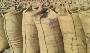  समिति प्रबंधक व कम्प्यूटर ऑपरेटर हड़ताल से लौटे, धान खरीदी में आएगी तेजी