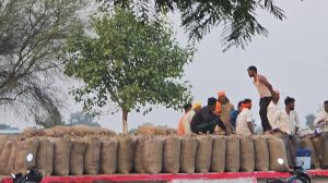 रायपुर जिले में जोर&ndash;शोर से चल रही धान खरीदी, किसानों में उत्साह का माहौल