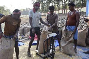 बस्तर जिले का जमावाड़ा धान उपार्जन केंद्र बना सुगमता और सहयोग की मिसाल, किसानों ने जताई संतुष्टि बस्तर जिले का जमावाड़ा धान उपार्जन केंद्र बना सुगमता और सहयोग की मिसाल, किसानों ने जताई संतुष्टि