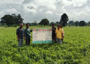कृषि विभाग के समन्वित प्रयासों से किसानों के समृद्धि के द्वार खुले कृषि विभाग के समन्वित प्रयासों से किसानों के समृद्धि के द्वार खुले