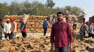 समर्थन मूल्य में बढोत्तरी ने गजल यादव को बनाया सफल 'टेक्नो-फार्मर' समर्थन मूल्य में बढोत्तरी ने गजल यादव को बनाया सफल 'टेक्नो-फार्मर'