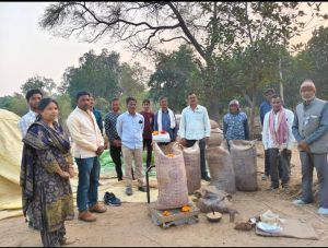 बिलासपुर जिले में अब तक 52 हजार क्विंटल धान की आवक बिलासपुर जिले में अब तक 52 हजार क्विंटल धान की आवक