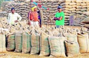 धान बिक्री के लिए अधिकतम 3 टोकन की सुविधा धान बिक्री के लिए अधिकतम 3 टोकन की सुविधा