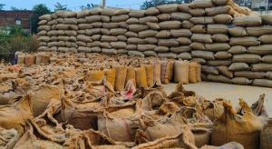  अब तक 12,262 मीट्रिक टन धान की आवक