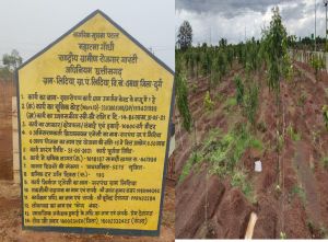 सफलता की कहानी- विशेष ट्रेंच तकनीक से ग्राम लिटिया की बंजर जमीन हरियाली में हुई तब्दील सफलता की कहानी- विशेष ट्रेंच तकनीक से ग्राम लिटिया की बंजर जमीन हरियाली में हुई तब्दील