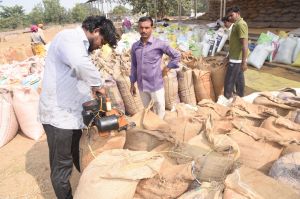  दुर्ग जिले में 52,885.48 मे. टन धान की खरीदी