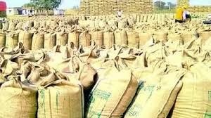 रायपुर जिले में हुई लगभग 1 लाख 6 हजार 451.20 क्विंटल धान खरीदी रायपुर जिले में हुई लगभग 1 लाख 6 हजार 451.20 क्विंटल धान खरीदी