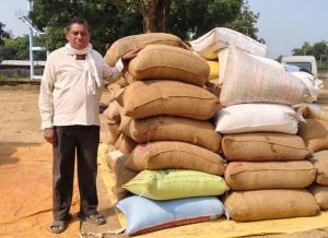 मेहनत की फसल, सम्मान की कीमत मेहनत की फसल, सम्मान की कीमत