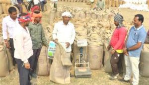 सुव्यवस्थित धान खरीदी और किसान-हितैषी व्यवस्था से किसानों में बढ़ा भरोसा सुव्यवस्थित धान खरीदी और किसान-हितैषी व्यवस्था से किसानों में बढ़ा भरोसा