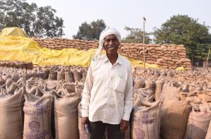 किसान बिश्राम दास ने मेहनत का उचित दाम मिलने पर जाहिर की प्रसन्नता किसान बिश्राम दास ने मेहनत का उचित दाम मिलने पर जाहिर की प्रसन्नता