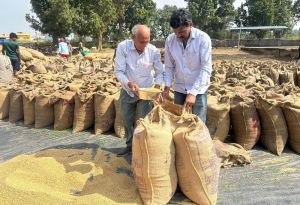 पारदर्शी व्यवस्था से खुशहाल किसान—3100 रुपये समर्थन मूल्य से नंद कुमार ने जताया मुख्यमंत्री विष्णु देव साय के प्रति आभार पारदर्शी व्यवस्था से खुशहाल किसान—3100 रुपये समर्थन मूल्य से नंद कुमार ने जताया मुख्यमंत्री विष्णु देव साय के प्रति आभार