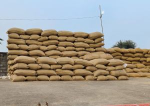 रायपुर जिले में आज हुई लगभग 1 लाख 4 हजार 921.60 क्विंटल धान खरीदी रायपुर जिले में आज हुई लगभग 1 लाख 4 हजार 921.60 क्विंटल धान खरीदी