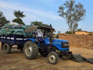  एमसीबी में अवैध धान विक्रय के संगठित गिरोह का मामला उजागर