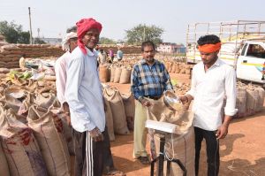  19,700 किसानों से  एक लाख मीट्रिक टन से अधिक धान खरीदा गया