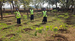 वुमेन फाॅर ट्री योजना: अमृत मिशन के अंतर्गत महिलाओं की भागीदारी से हरियाली और आत्मनिर्भरता की ओर महत्वपूर्ण कदम