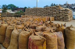 रायपुर जिले में आज हुई 1 लाख 19 हजार 437.60 क्विंटल धान खरीदी रायपुर जिले में आज हुई 1 लाख 19 हजार 437.60 क्विंटल धान खरीदी