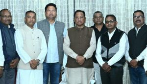 मुख्यमंत्री विष्णुदेव साय से हल्बा-हल्बी समाज के प्रतिनिधिमण्डल ने की सौजन्य मुलाकात मुख्यमंत्री विष्णुदेव साय से हल्बा-हल्बी समाज के प्रतिनिधिमण्डल ने की सौजन्य मुलाकात