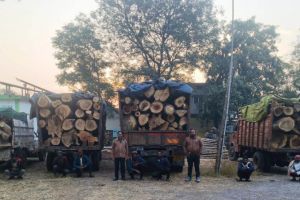 प्रतिबंधित काष्ठों का अवैध परिवहन पकड़ा गया, वन विभाग ने की जप्ती प्रतिबंधित काष्ठों का अवैध परिवहन पकड़ा गया, वन विभाग ने की जप्ती