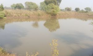  डबरी निर्माण से बढ़ा जल संरक्षण, ग्रामीणों के लिए खुल रहे आय के नए रास्ते