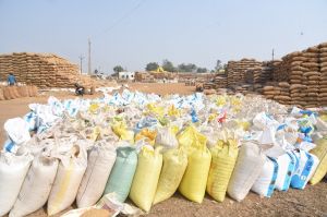 दुर्ग जिले में 1,36,322.68 मीट्रिक टन धान की खरीदी की गई दुर्ग जिले में 1,36,322.68 मीट्रिक टन धान की खरीदी की गई