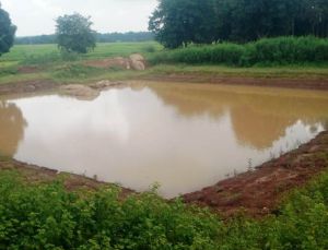  डबरी निर्माण से ग्रामीण आजीविका को मिल रही नई दिशा