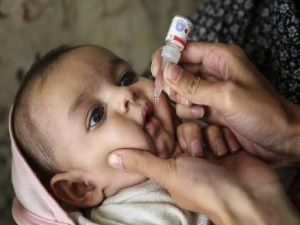 21 दिसंबर को जिले में पल्स पोलियो अभियान