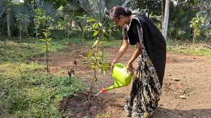 उद्यानों में साफ-सफाई एवं पानी सिंचाई कार्य जारी उद्यानों में साफ-सफाई एवं पानी सिंचाई कार्य जारी