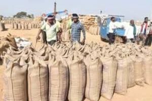  अब  तक 17.24 लाख टोकन से 87 लाख टन धान  की हो चुकी खरीदी 