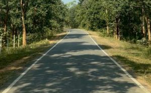 पीएम जनमन योजना से बदली ग्राम बांसकुड़ा कमार बस्ती की तस्वीर पीएम जनमन योजना से बदली ग्राम बांसकुड़ा कमार बस्ती की तस्वीर