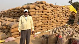 धान की अच्छी कीमत ने बढ़ाया किसान युगल किशोर का हौसला धान की अच्छी कीमत ने बढ़ाया किसान युगल किशोर का हौसला