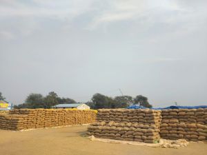 आरंग के 18 धान खरीदी केन्द्रों से उठाव की गति धीमी, 4 लाख क्विंटल धान जाम आरंग के 18 धान खरीदी केन्द्रों से उठाव की गति धीमी, 4 लाख क्विंटल धान जाम