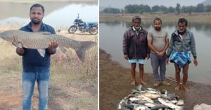  शासन की योजनाओं ने बदली तकदीर : मछली पालन बना स्थायी आय का जरिया