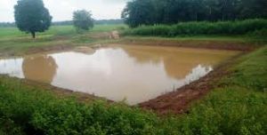 जिले में किया जाएगा 300 आजीविका डबरी का निर्माण जिले में किया जाएगा 300 आजीविका डबरी का निर्माण