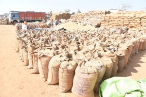 अब तक 2,57,796.52 मे. टन धान की हुई खरीदी अब तक 2,57,796.52 मे. टन धान की हुई खरीदी