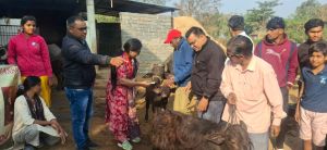 ग्राम बकतरा में निशुल्क पशु चिकित्सा शिविर का आयोजन ग्राम बकतरा में निशुल्क पशु चिकित्सा शिविर का आयोजन