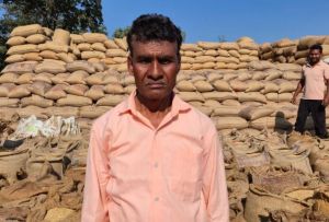 समर्थन मूल्य एवं कृषक उन्नति योजना से किसान आर्थिक रूप से हो रहे मजबूत समर्थन मूल्य एवं कृषक उन्नति योजना से किसान आर्थिक रूप से हो रहे मजबूत