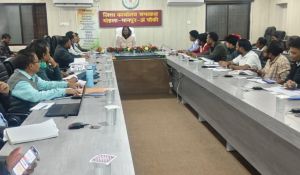 शत-प्रतिशत एएनसी पंजीयन एवं हाई रिस्क वाली गर्भवती महिलाओं को करें चिन्हांकित– कलेक्टर शत-प्रतिशत एएनसी पंजीयन एवं हाई रिस्क वाली गर्भवती महिलाओं को करें चिन्हांकित– कलेक्टर