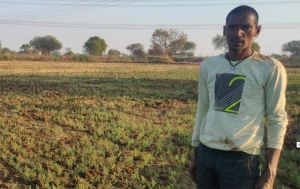   चना की फसल लेने से कम लागत में अधिक फायदा ले रहे किसान