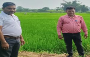  वैज्ञानिक खेती से भूखनलाल सोंचे की आर्थिक स्थिति में आया बड़ा सुधार