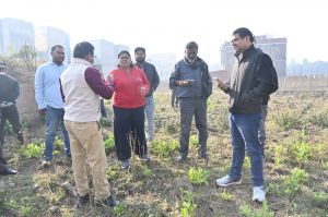 आयुक्त ने किया वार्ड 15 का औचक निरीक्षण