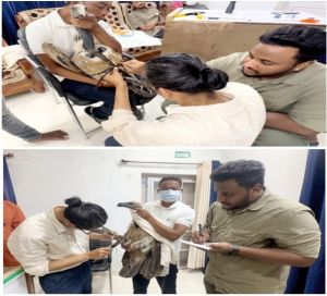 गिद्ध संरक्षण में छत्तीसगढ़ की नई उड़ान -इंद्रावती टाइगर रिजर्व बना देश का मॉडल गिद्ध संरक्षण में छत्तीसगढ़ की नई उड़ान -इंद्रावती टाइगर रिजर्व बना देश का मॉडल