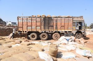 उपार्जन केन्द्रों से 1,20,111.55 मे. टन धान का  हो चुका है उठाव