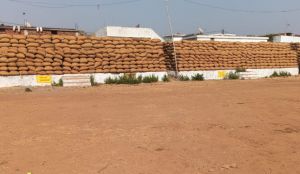 धान उपार्जन केन्द्र टेकारी में 60 हजार कट्टा धान जाम , खरीदी हेतु जगह की किल्लत धान उपार्जन केन्द्र टेकारी में 60 हजार कट्टा धान जाम , खरीदी हेतु जगह की किल्लत