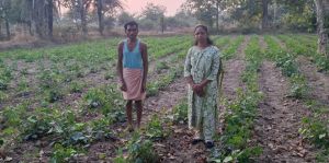  आधुनिक तकनीक से बढ़ा सब्जी का उत्पादन