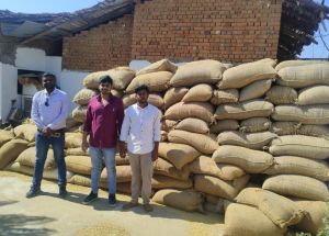 अवैध धान परिवहन एवं भंडारण पर सख्त कार्रवाई, कुल 772 कट्टा धान जप्त अवैध धान परिवहन एवं भंडारण पर सख्त कार्रवाई, कुल 772 कट्टा धान जप्त