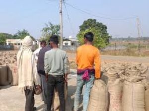 धान खरीदी महज 9 दिन बाकी , सोसायटियां और किसान सांसत् में, ज्ञापन धान खरीदी महज 9 दिन बाकी , सोसायटियां और किसान सांसत् में, ज्ञापन