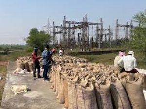  राजनांदगांव  जिले में धान की खरीदी अभियान से किसानों में खुशी एवं उल्लास का माहौल