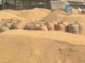 राजनांदगांव जिले में धान की खरीदी अभियान से किसानों में खुशी एवं उल्लास का माहौल राजनांदगांव जिले में धान की खरीदी अभियान से किसानों में खुशी एवं उल्लास का माहौल