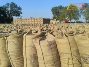  बालोद जिले में समर्थन मूल्य पर धान खरीदी कार्य सफलतापूर्वक जारी